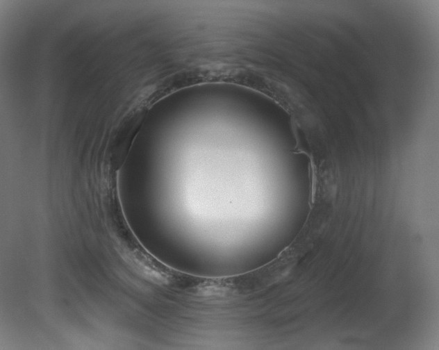 X0000081300756200701111424