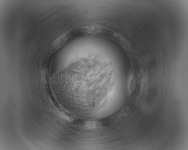 X0000081300757200701111424