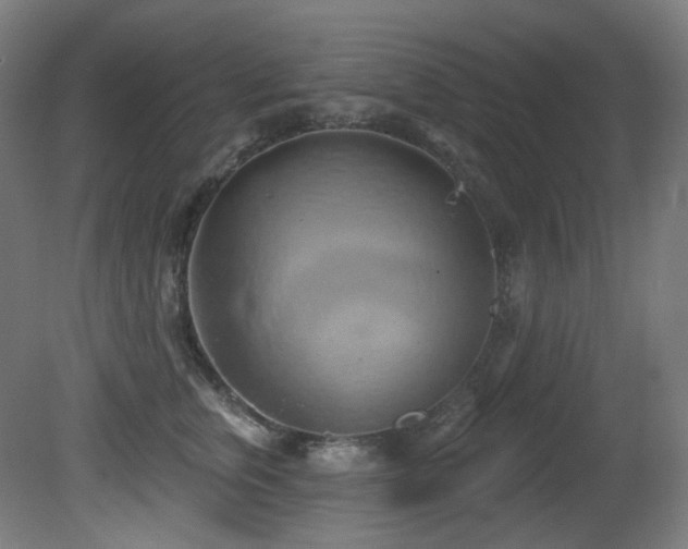 X0000081300759200701111424