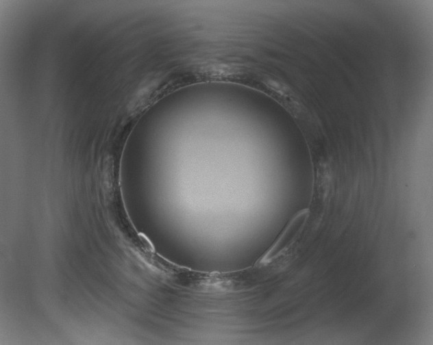 X0000081300760200701111424