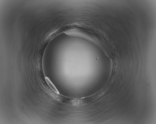 X0000081300762200701111424