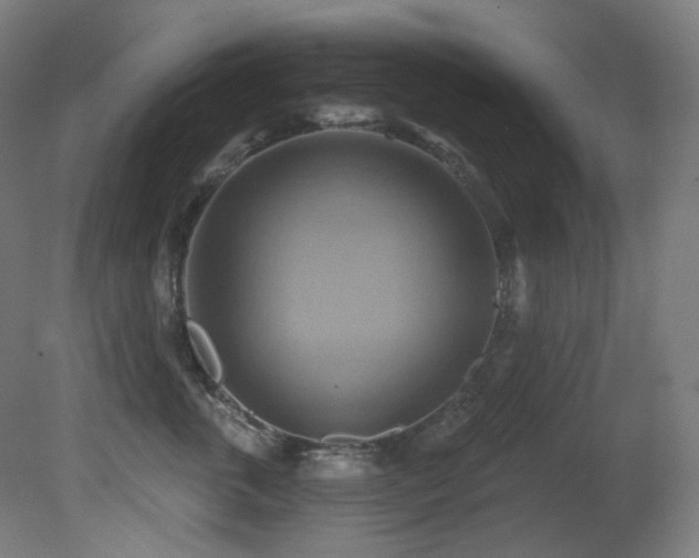 X0000081300763200701111424