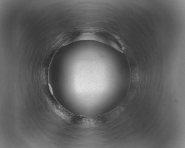 X0000081300764200701111424
