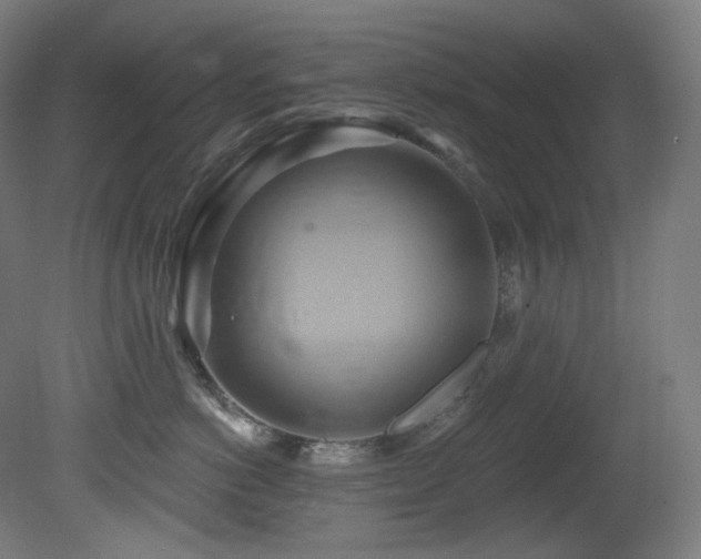 X0000081300766200701111424
