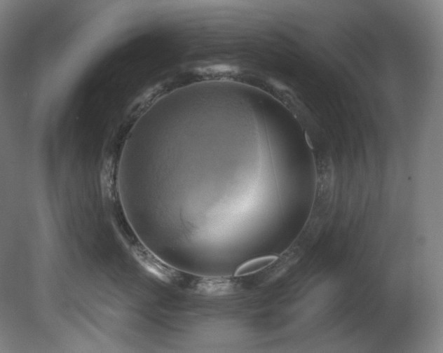 X0000081300767200701111424