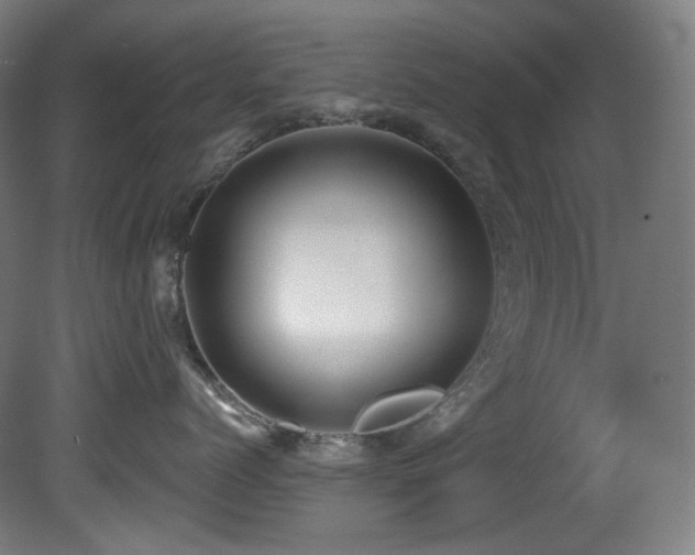 X0000081300768200701111424