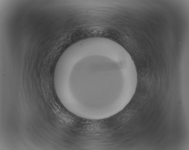X0000081300769200701111424