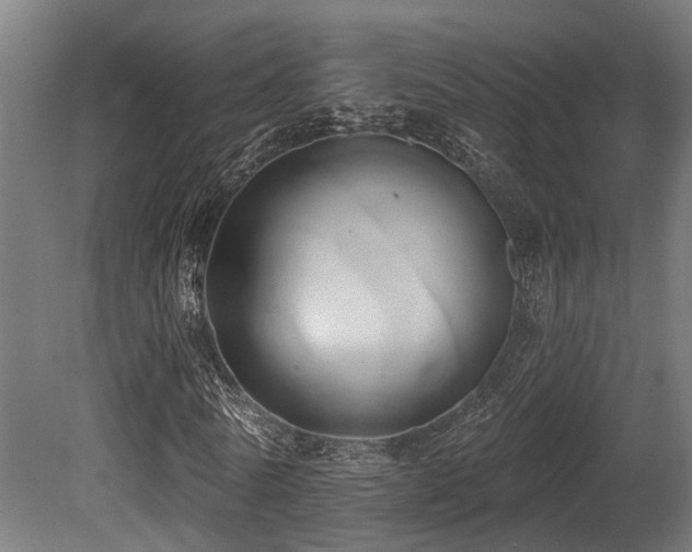X0000081300770200701111424