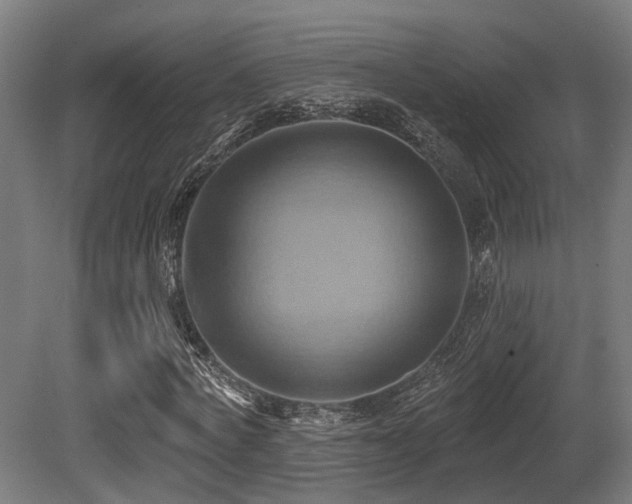 X0000081300772200701111424