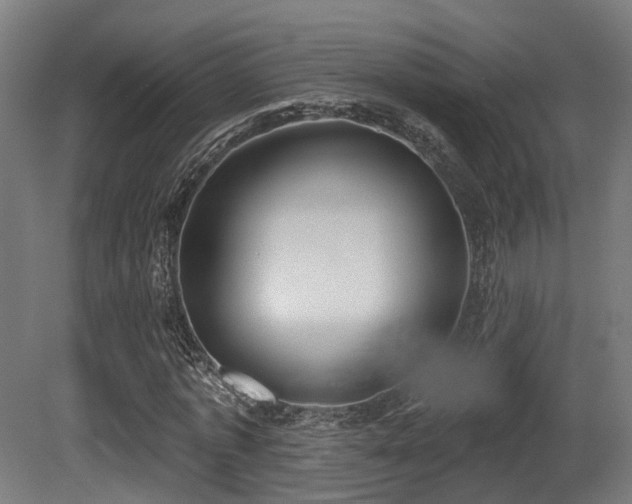 X0000081300773200701111424