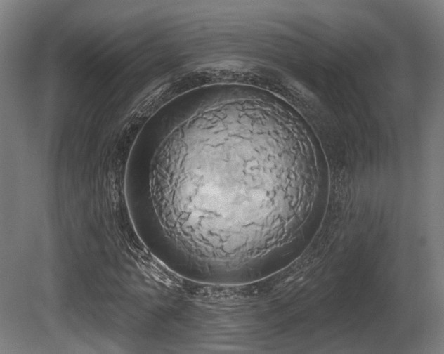 X0000081300774200701111424