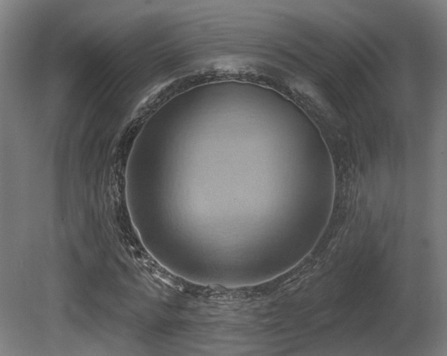 X0000081300776200701111423