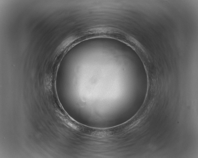 X0000081300778200701111423