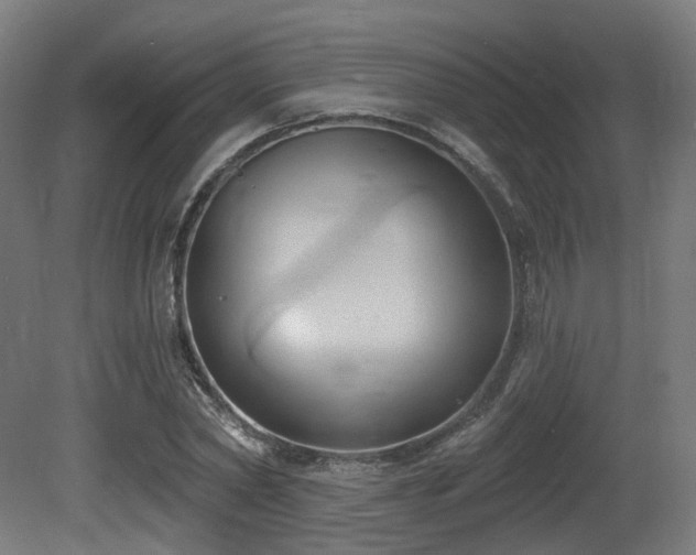 X0000081300782200701111423