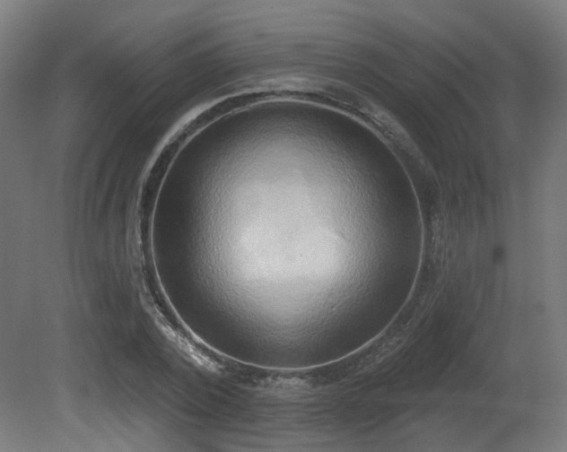 X0000081300784200701111423