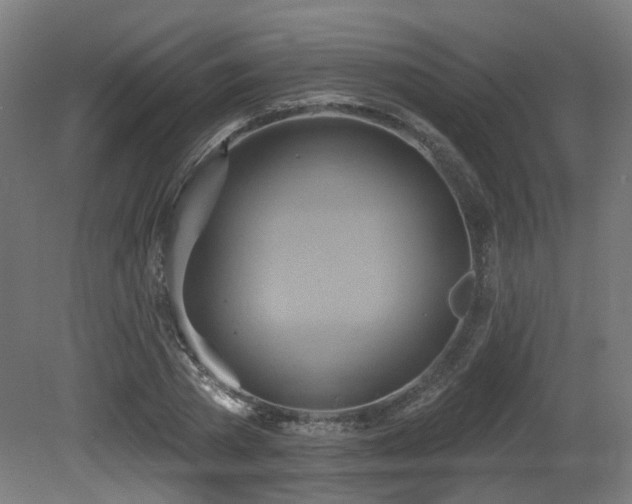 X0000081300785200701111423