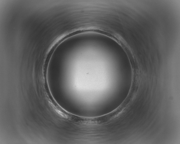 X0000081300789200701111423