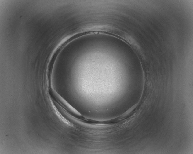 X0000081300792200701111423