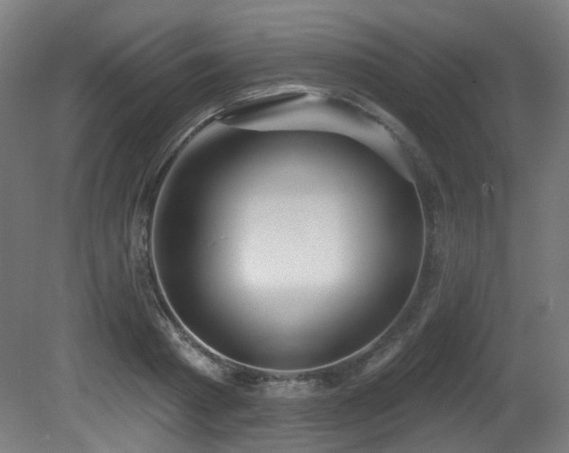 X0000081300793200701111423