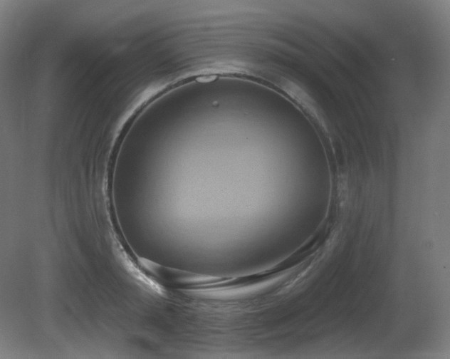 X0000081300797200701111423