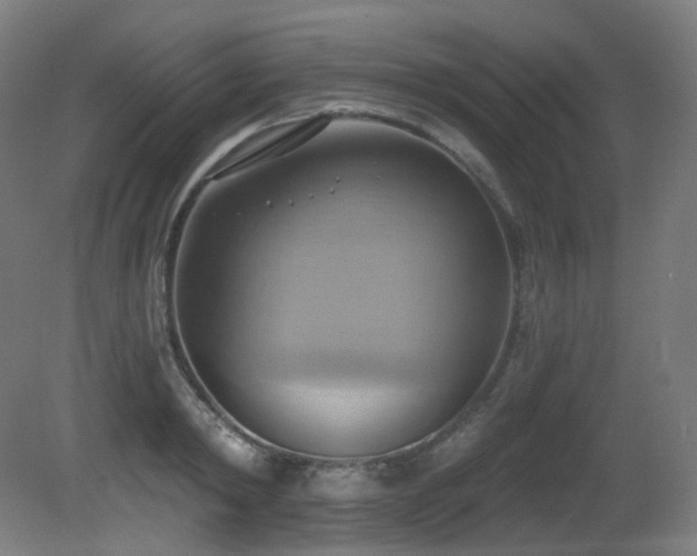 X0000081300798200701111423