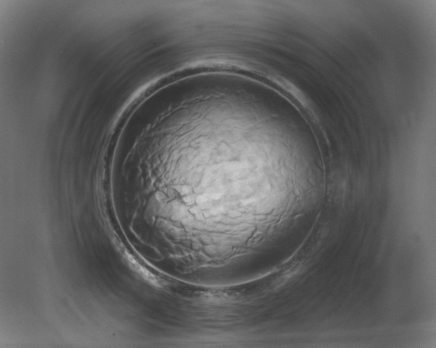 X0000081300799200701111423