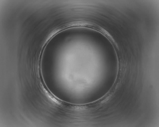 X0000081300802200701111423