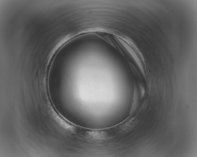 X0000081300805200701111423