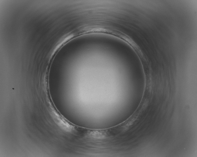 X0000081300806200701111423