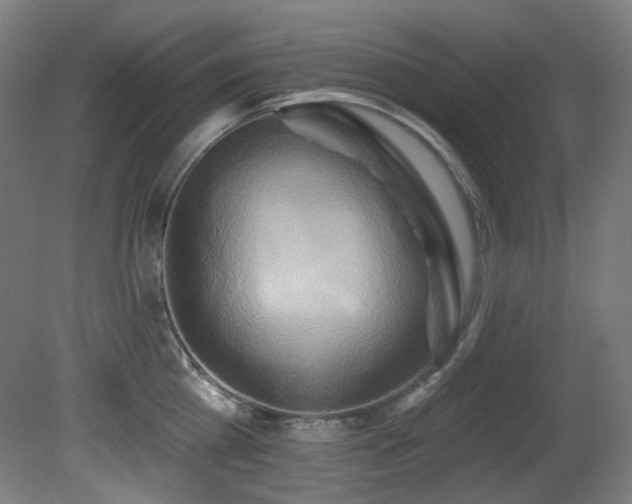 X0000081300809200701111423