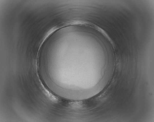 X0000081300810200701111423