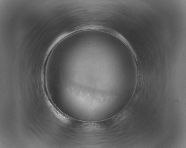 X0000081300811200701111423