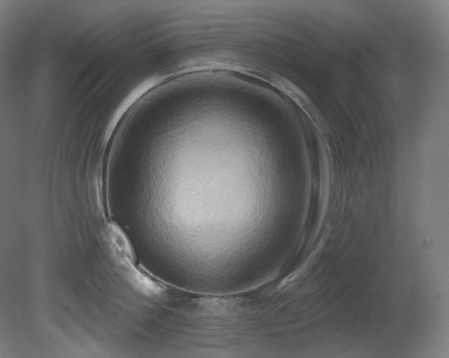 X0000081300812200701111423