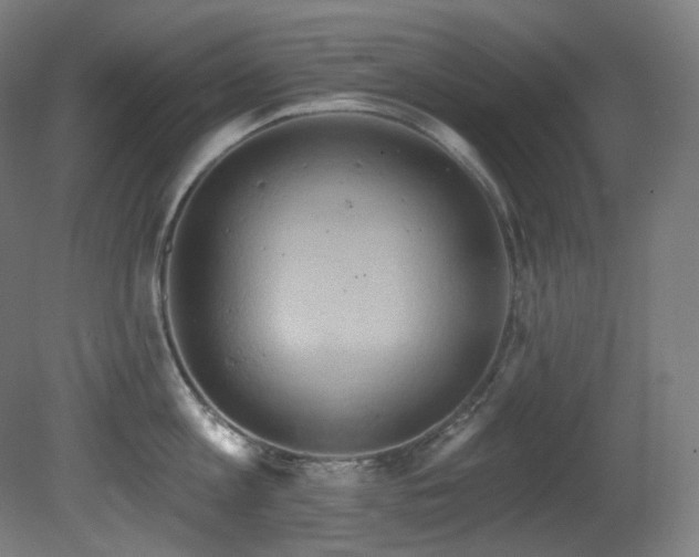 X0000081300813200701111423