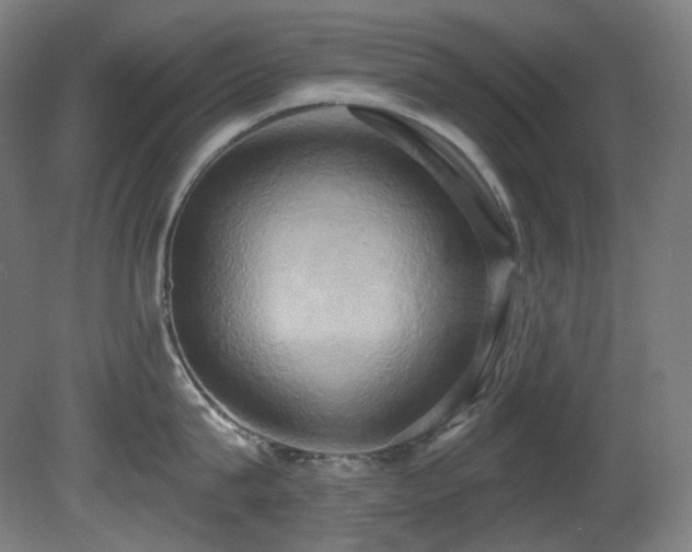 X0000081300815200701111423