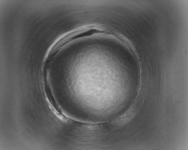 X0000081300816200701111423