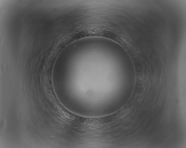 X0000081300817200701111422