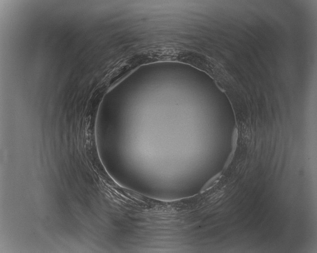 X0000081300818200701111422