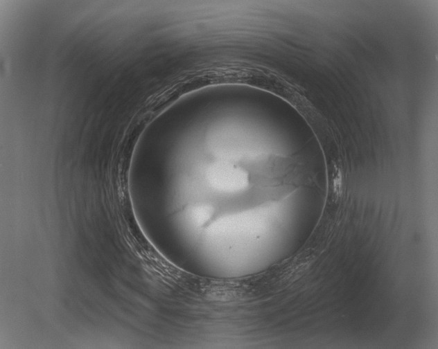 X0000081300819200701111422