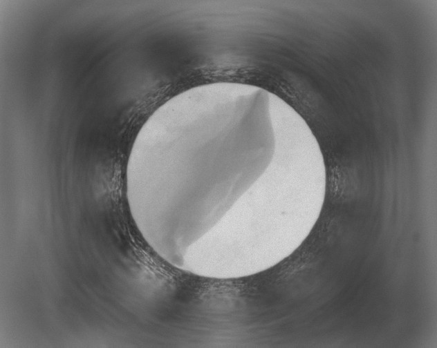 X0000081300820200701111422