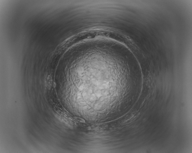 X0000081300821200701111422