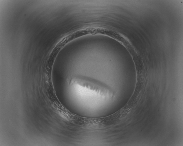 X0000081300823200701111422