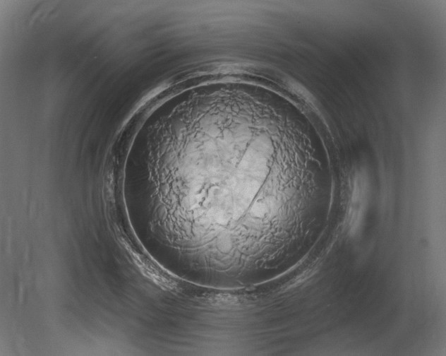 X0000081300827200701111422