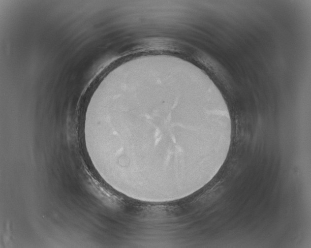 X0000081300828200701111422
