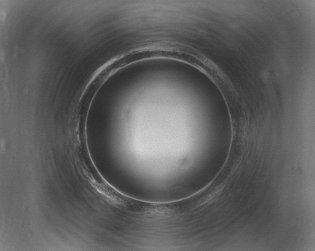 X0000081300830200701111422