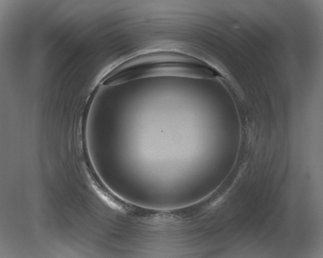 X0000081300842200701111422