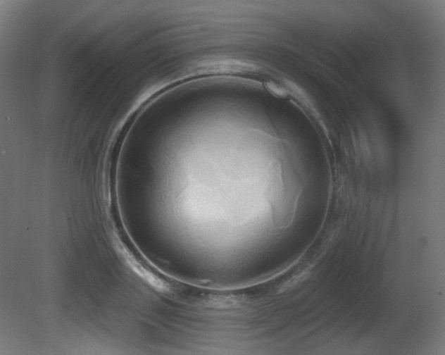 X0000081300843200701111422