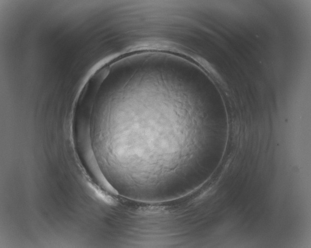 X0000081300846200701111422