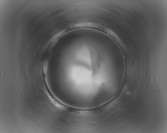 X0000081300849200701111423