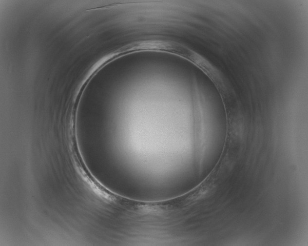 X0000081300852200701111423